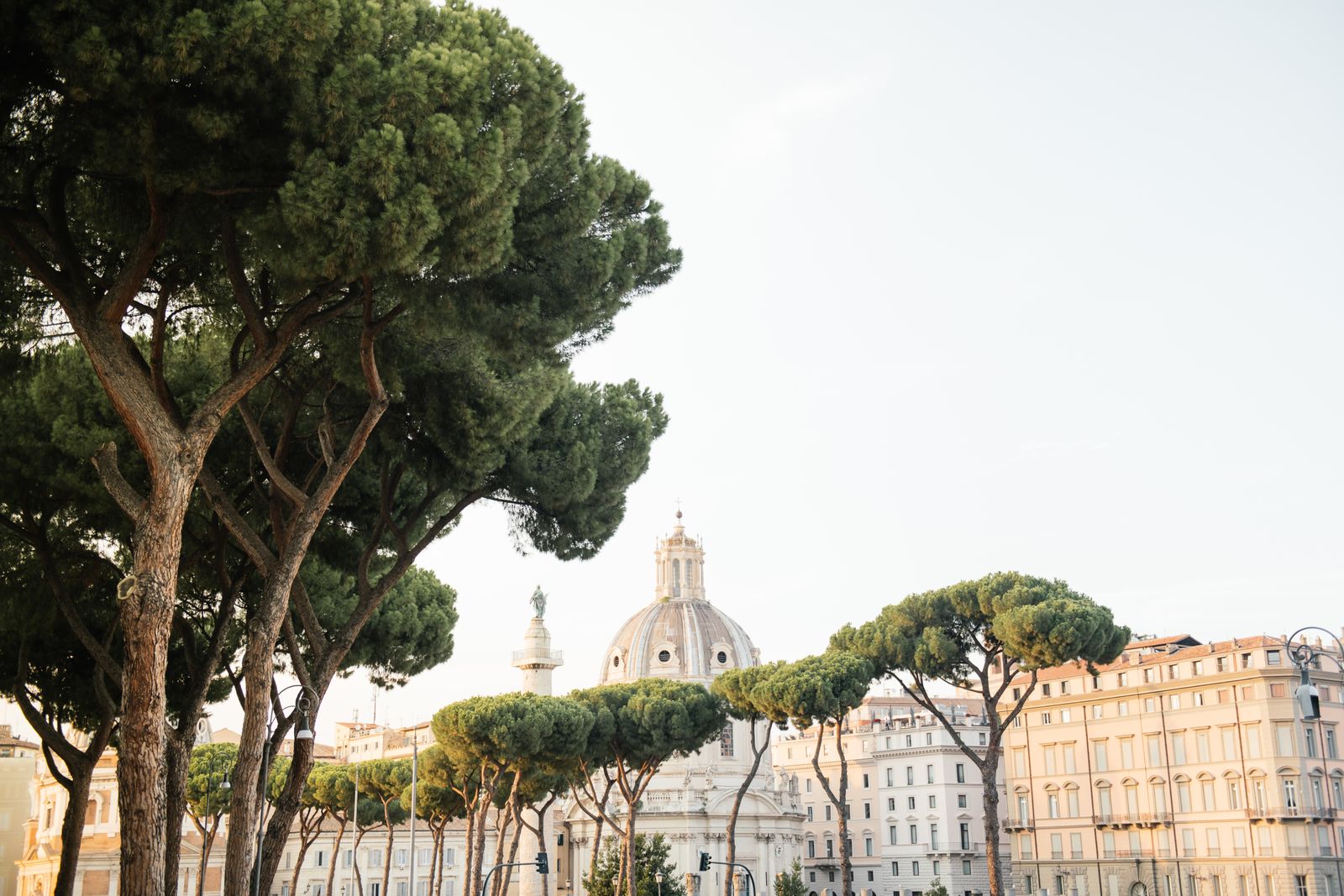 Captivating view of historic architecture and green pine trees in a European city.